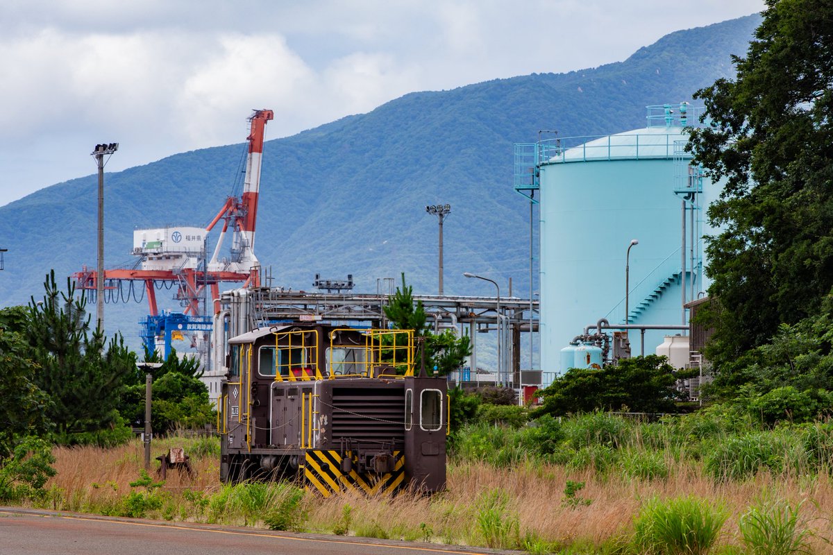 依頼　※買わないでください 寂しいけど新天地が見つかって何より。寂しいけど😭