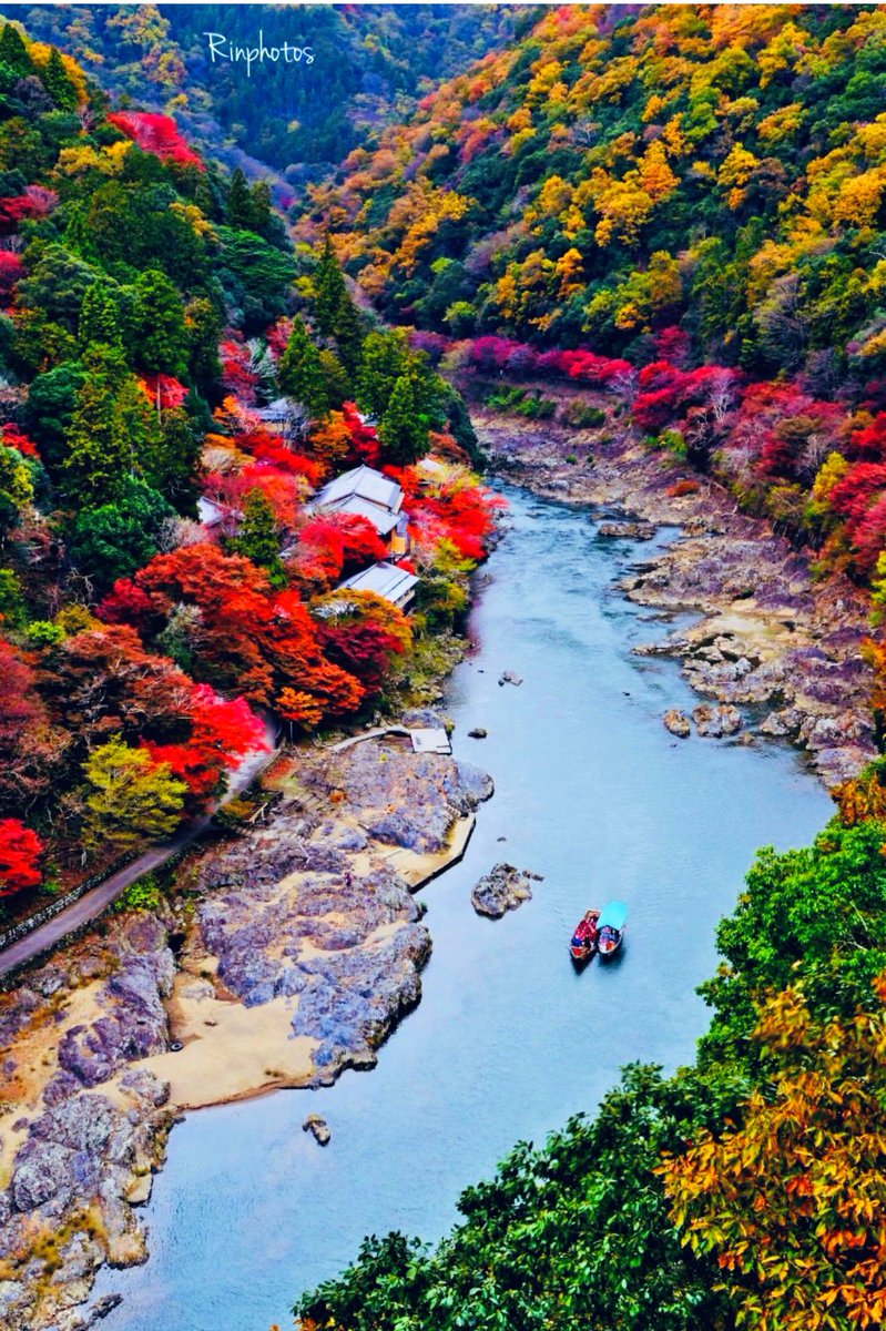 Zero58533086's tweet image. 𖡼.𖤣𖥧𖡼.𓇥 ֒𖡼.𖤣𖥧

       紅葉𓍯ོ
亀山公園展望台からの
保津峡

保津峡が琥珀色の
吐息をこぼす  
紅葉は恋の炎のように
揺れて  
川面に溶けてゆく

風が少し冷たいね  
君の肩にそっと
手を置く  
その温もりだけで  
世界が優しくなる

🌸🍃ꔛꕤ

𖤣𖥧𖥣｡𖤣𖥧𖥣｡𖡼.𖤣𖥧𖡼.𖤣𖥧⚘