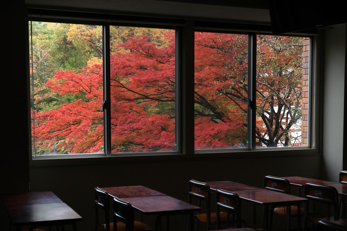 Iwate_Univ_PR's tweet photo. 例年より短く感じられた秋ですが、今年もキャンパスは鮮やかな紅葉に包まれています🍁
季節の彩りを、皆さまにもお届けします✨
#岩手大学　#紅葉　#キャンパス風景 https://t.co/v24UOrAKw0