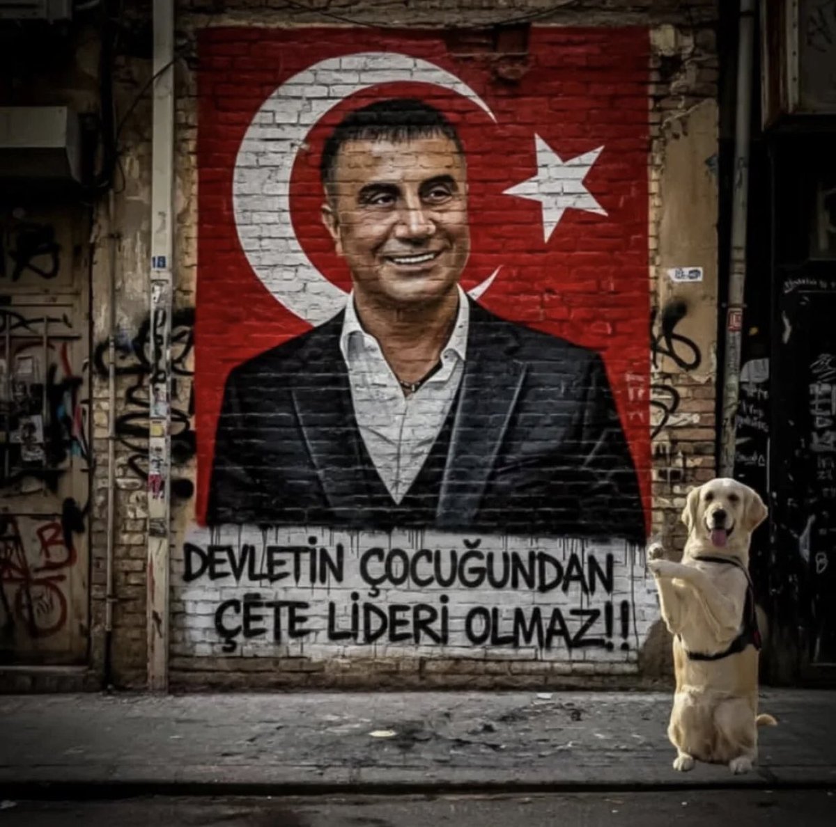 arier_hamza's tweet photo. Devletin çocuğundan çete lideri olmaz

@sedat_peker 
#SedatPeker https://t.co/wPCkZKYZr2
