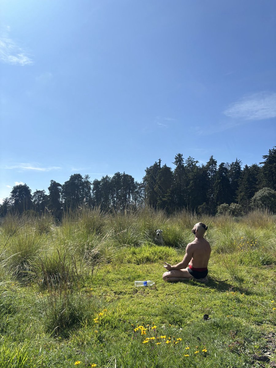 dün akşam 9da uyudum bu sabah 8de kalktım gün şöyle hissettiriyor aq