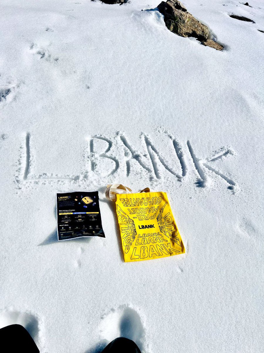 LBank Angels tweet media