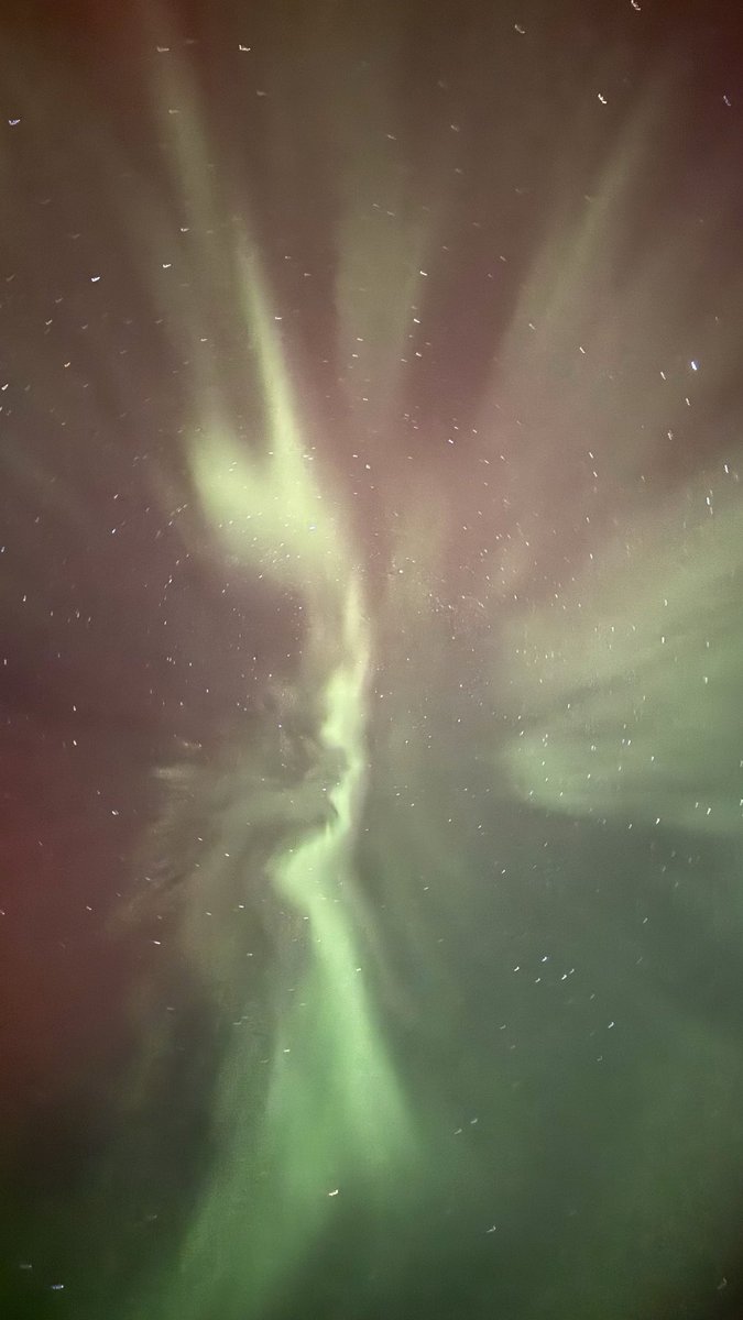 onxvacation's tweet photo. #britishcolumbia #northernlights https://t.co/X6bkQeWxXi