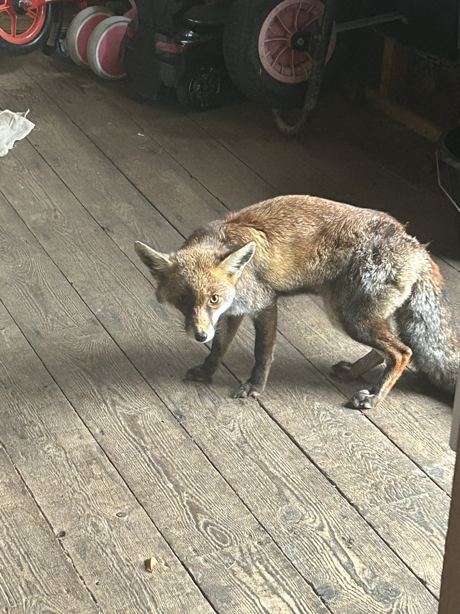 Johnny Walker tweet media