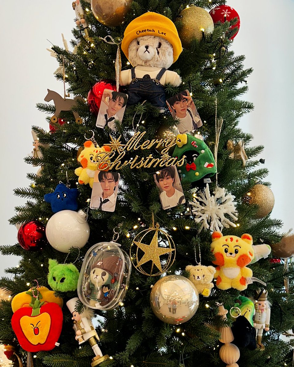 코스알엑스는 크리스마스 준비 완료 🎄🫶