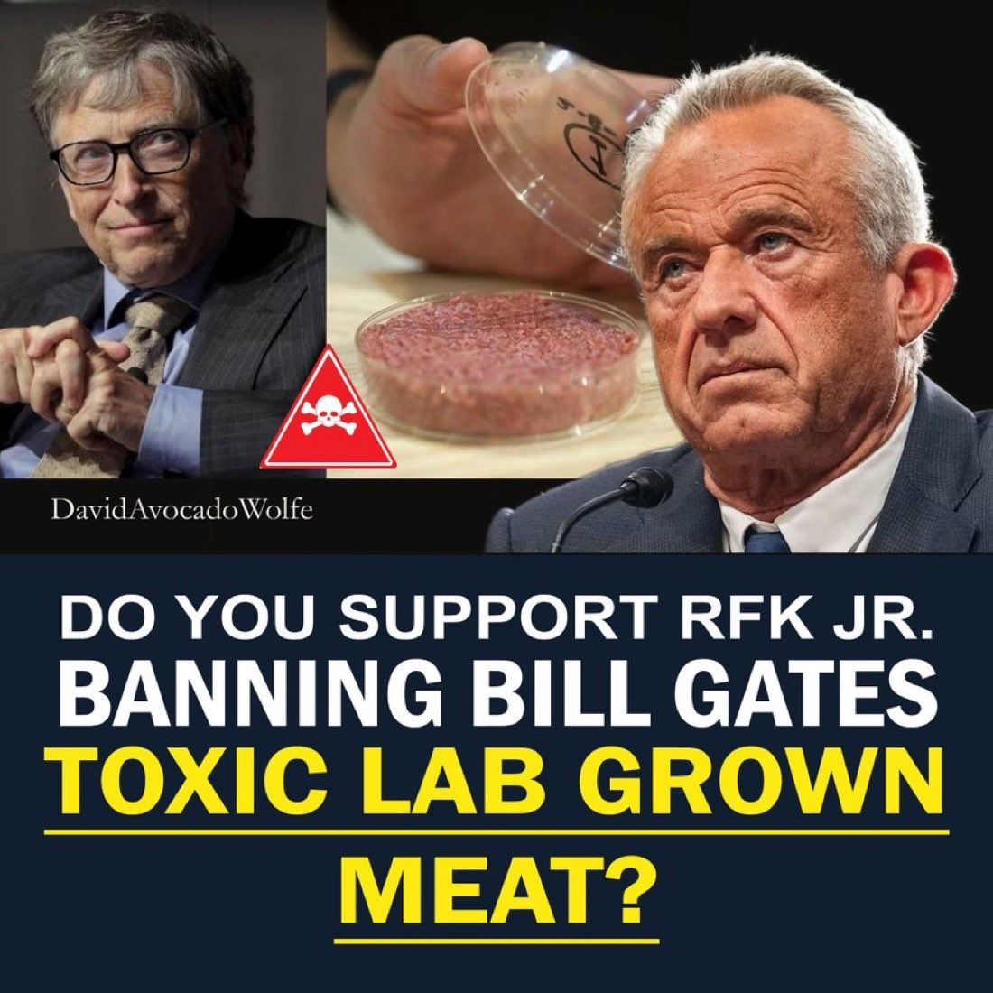 MAGA Voice tweet media