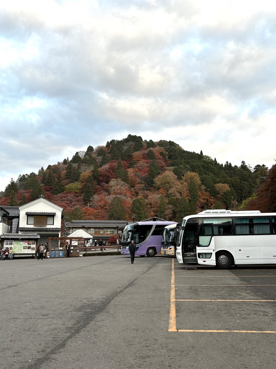 TheTee2020's tweet photo. 今日の香嵐渓
う〜ん、どうなんでしょう(^^;;
#香嵐渓 
#紅葉 
#紅葉2025 https://t.co/pZHDIZeaor