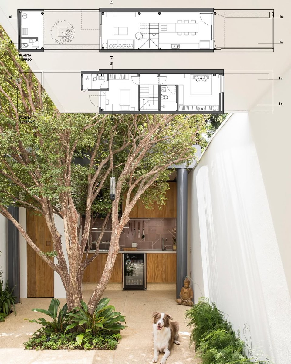 Layemie001's tweet image. 📍Sãu Paulo, Brazil