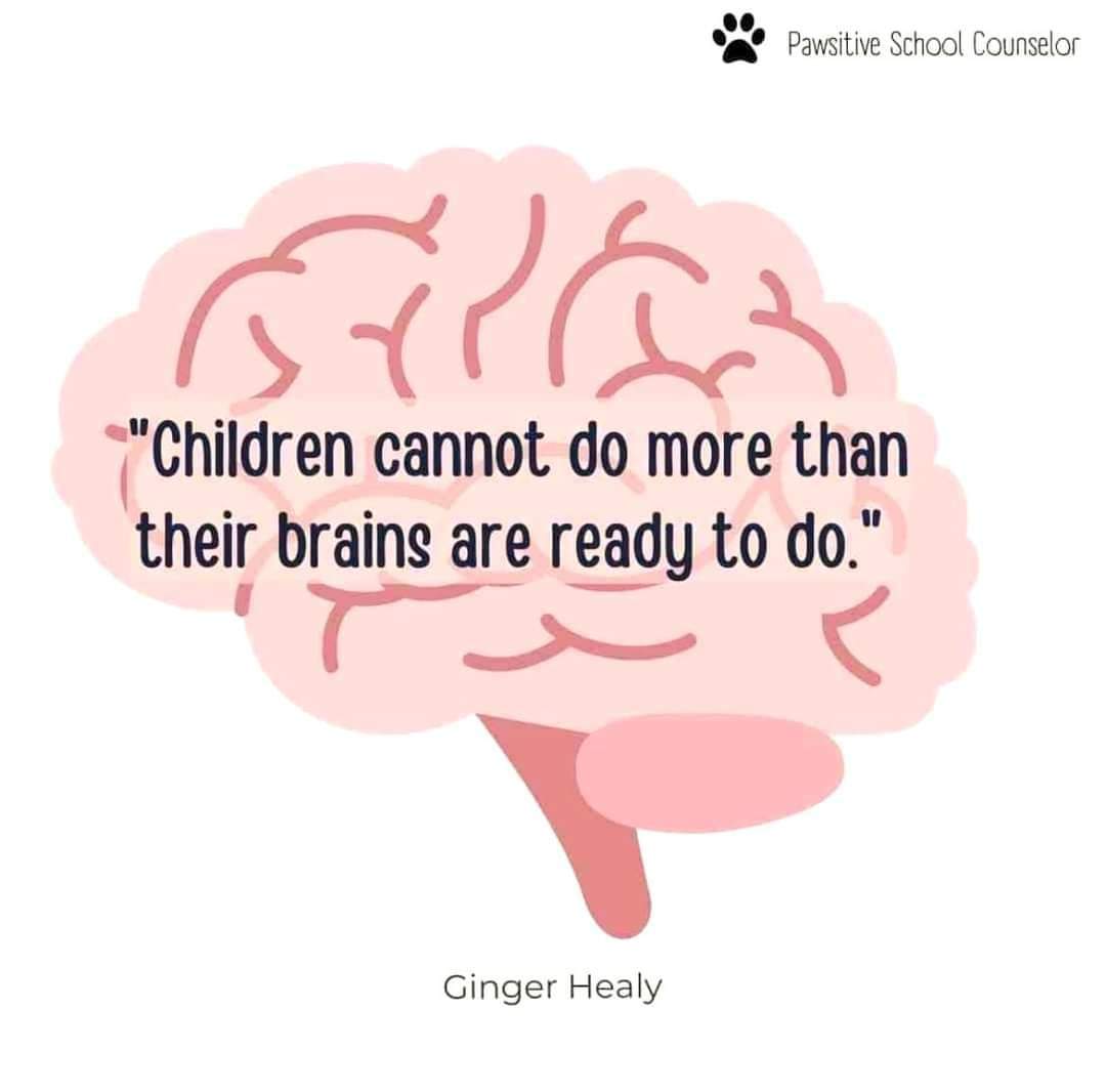 gerrydiamond71's tweet image. A reminder that many of our young people come to our schools with a low, emotionally developmental age rather than their chronological age due to chaos and adversity. Under stress, emotionally challenged young people will behave in a way that reflect their emotional age.🧠🌱