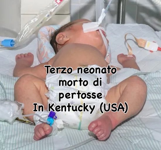 ProfMBassetti tweet picture