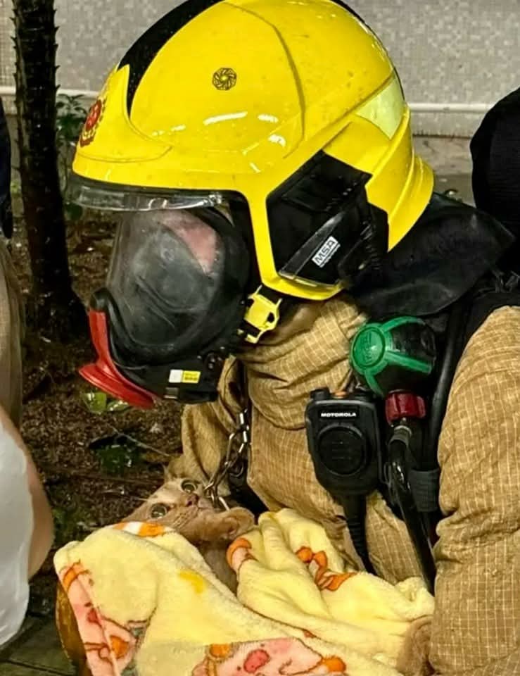 wndyyung's tweet image. Facebook 相