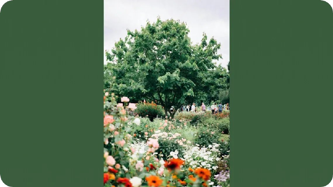 Parlershopping's tweet photo. This image says it all 🌿
It starts with you. Make a difference.

View the post 👉 https://t.co/TYynOc2hYU
Earn GREEN on ECOX Network while you act:
https://t.co/KHJx94eR9J

#ECOX #GREEN #ECO_TO_EARN https://t.co/hFdqvfe0y8
