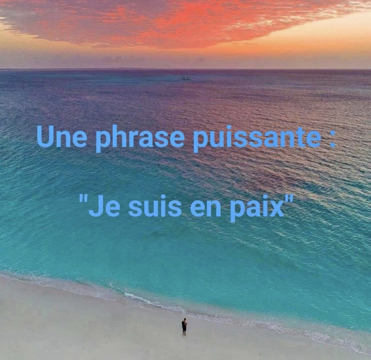 csibon27's tweet image. 🥰😇