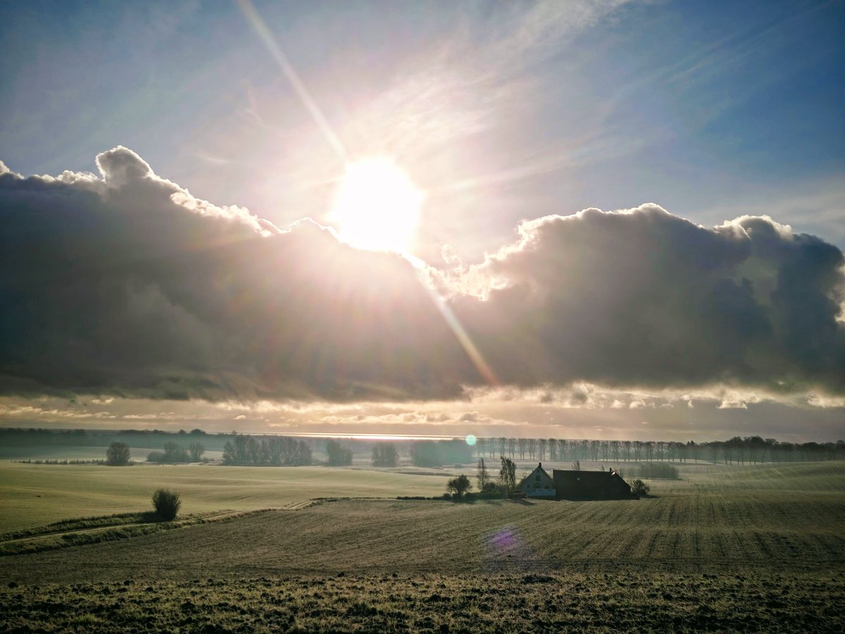 _Frodda's tweet image. 