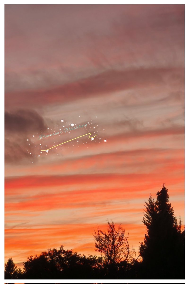 ❄️ Guten M🩷rgen ❄️☕☄️🥪!

🩵🍭