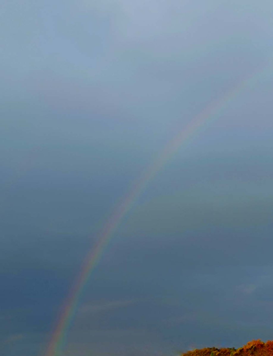 虹を見たかい🌈