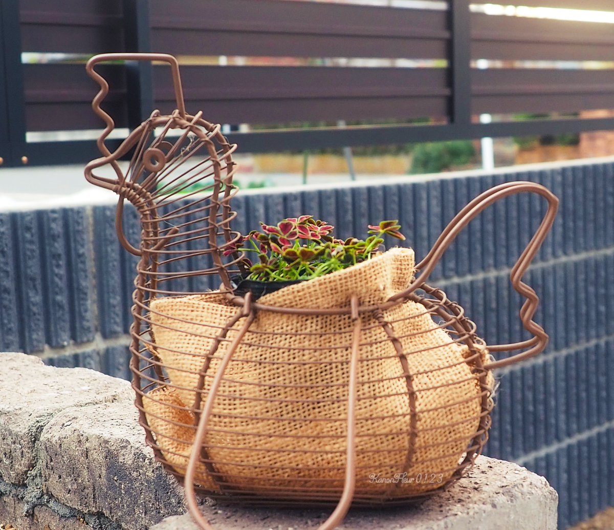 趣味の園芸コミュニティ Community on X - 85 Members