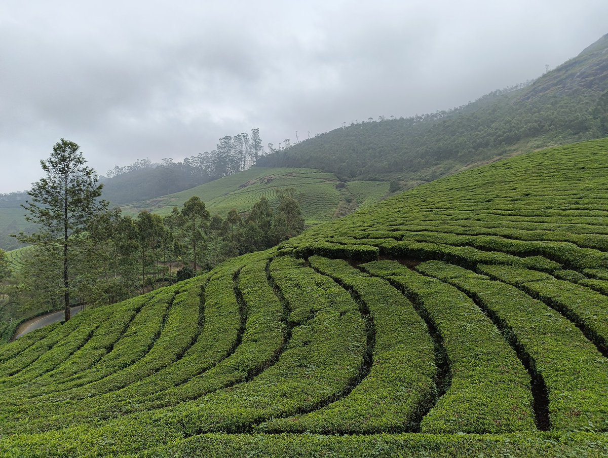 Let the Lite Capture the Moment — <a href="/nothing/">Nothing</a> 3a Lite ⚡️
#WithNothing #nothingphone3alite 
<a href="/nothingindia/">Nothing India</a> <a href="/AkisEvangelidis/">Akis Evangelidis</a> <a href="/getpeid/">Carl Pei</a>