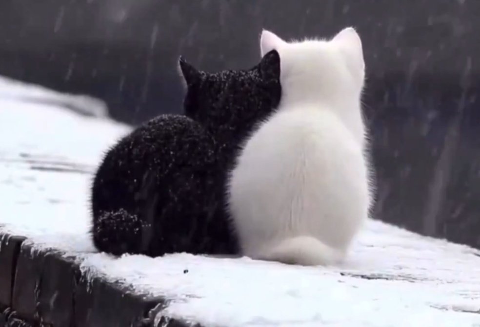 __kvsr__26's tweet image. Güvenmek sevmekten daha değerli,
zamanla anlarsın.

Paulo Coelho

#Persembe