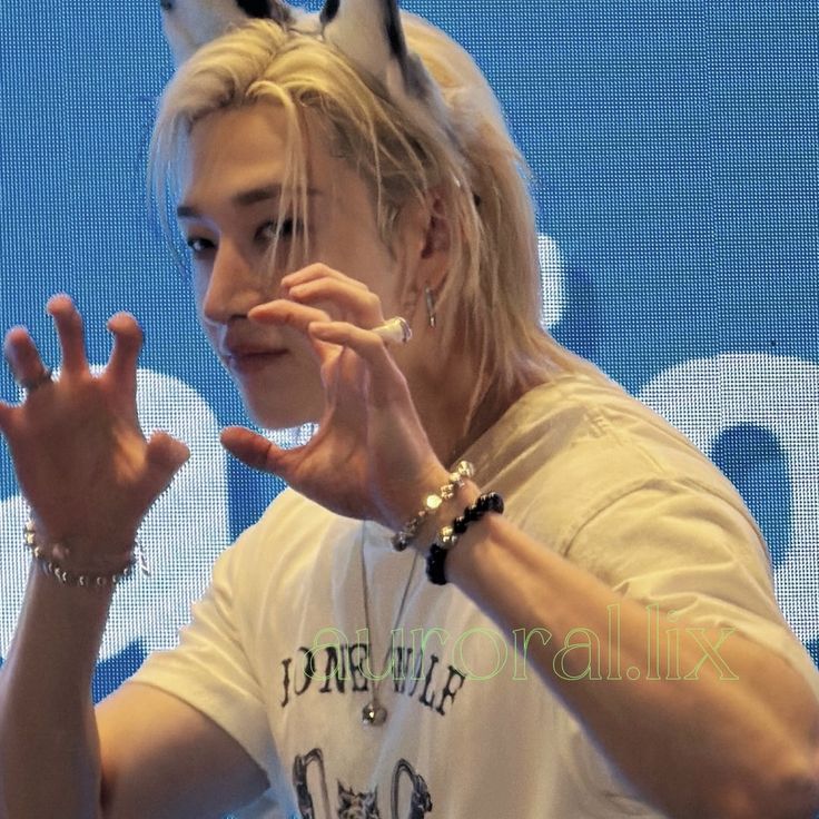 bangchan as wolves 🐺 tweet media