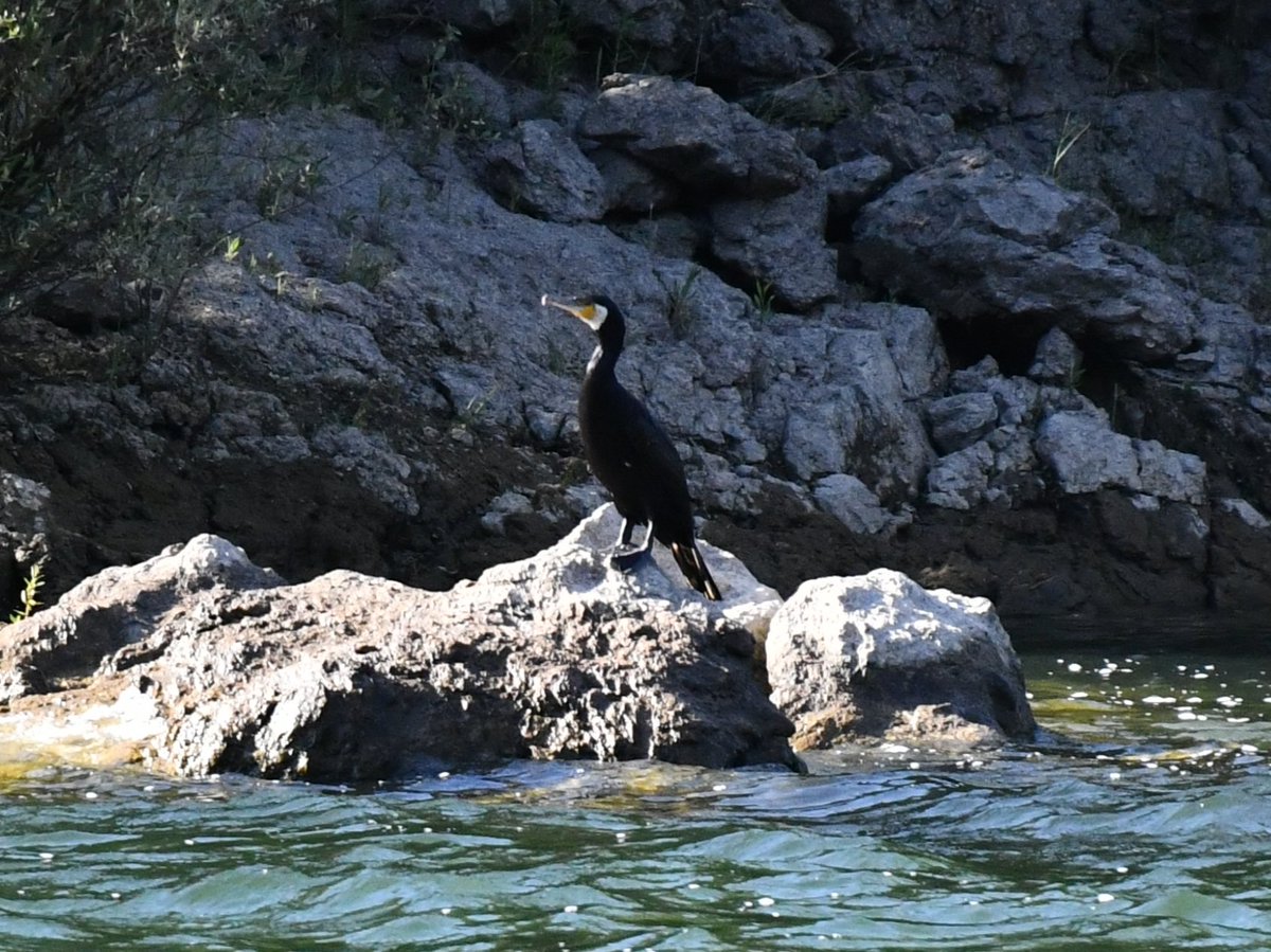 J@a.p (@jose_ap19) on Twitter photo 