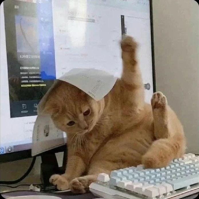 Happy Thanksgiving from the OSPTD crew!

Today I'm giving thanks for:
• teammates who carry me
• deadlines that mostly behave
• and the courage to keep fighting the darkness... even when I accidentally equip the wrong gear like this.

If you catch me looking like this cat