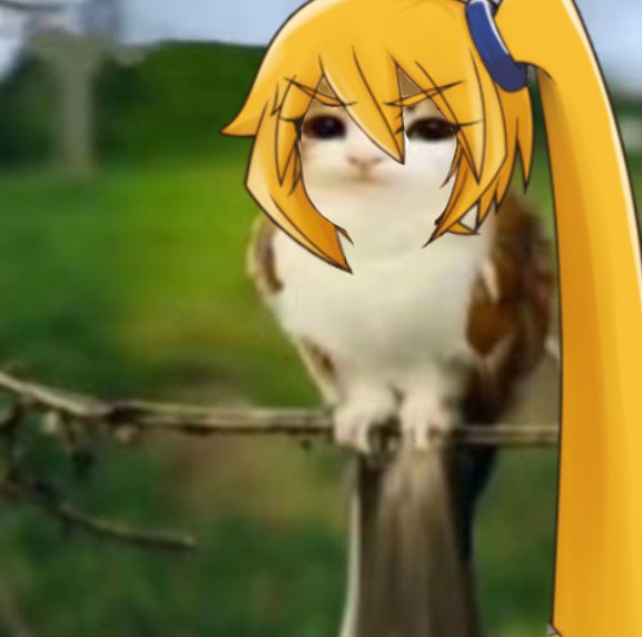 nerufanaccount's tweet image. neruowl meowu something

#DailyNeru