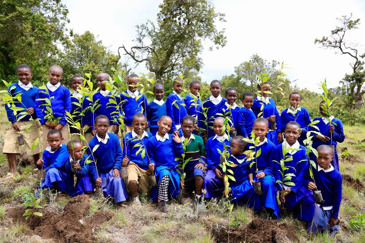 NovatiP's tweet image. I'm not a psychologist, but understand mindset change is a gradual process. For the community living near to Kilimanjaro NP, planting trees is a culture, but primarily in their individual lands called Kihamba. The focus now is into public lands and prevent tragedy of the commons