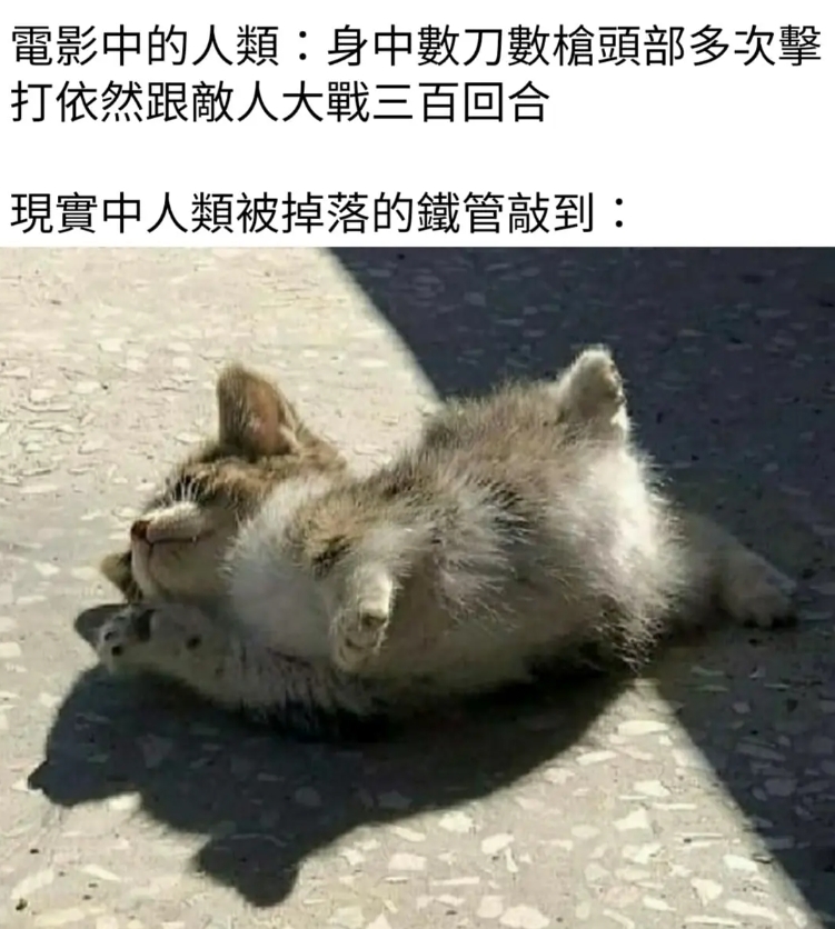 memesmonitor's tweet photo. 已經送醫院了
#電影 #memes https://t.co/KhUtgt2jFe
