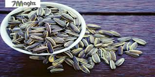 ahad4714's tweet image. یک مشت تخمه‌شکسته، سطل تخمه‌های سالم رو هم فاسد می‌کنه
میدونید موضوع #Monarchy طلبها و ماموران #مزدور_سایبری رژیم با بازی دوگانه مثل یک سطل تخمه میمونه که با تخمه های شکسته قاطی شده و تخمه های سالم دیده نمیشه.
و فضا رو آلوده کردن و آگاهی هویتش رو گم میکنه.