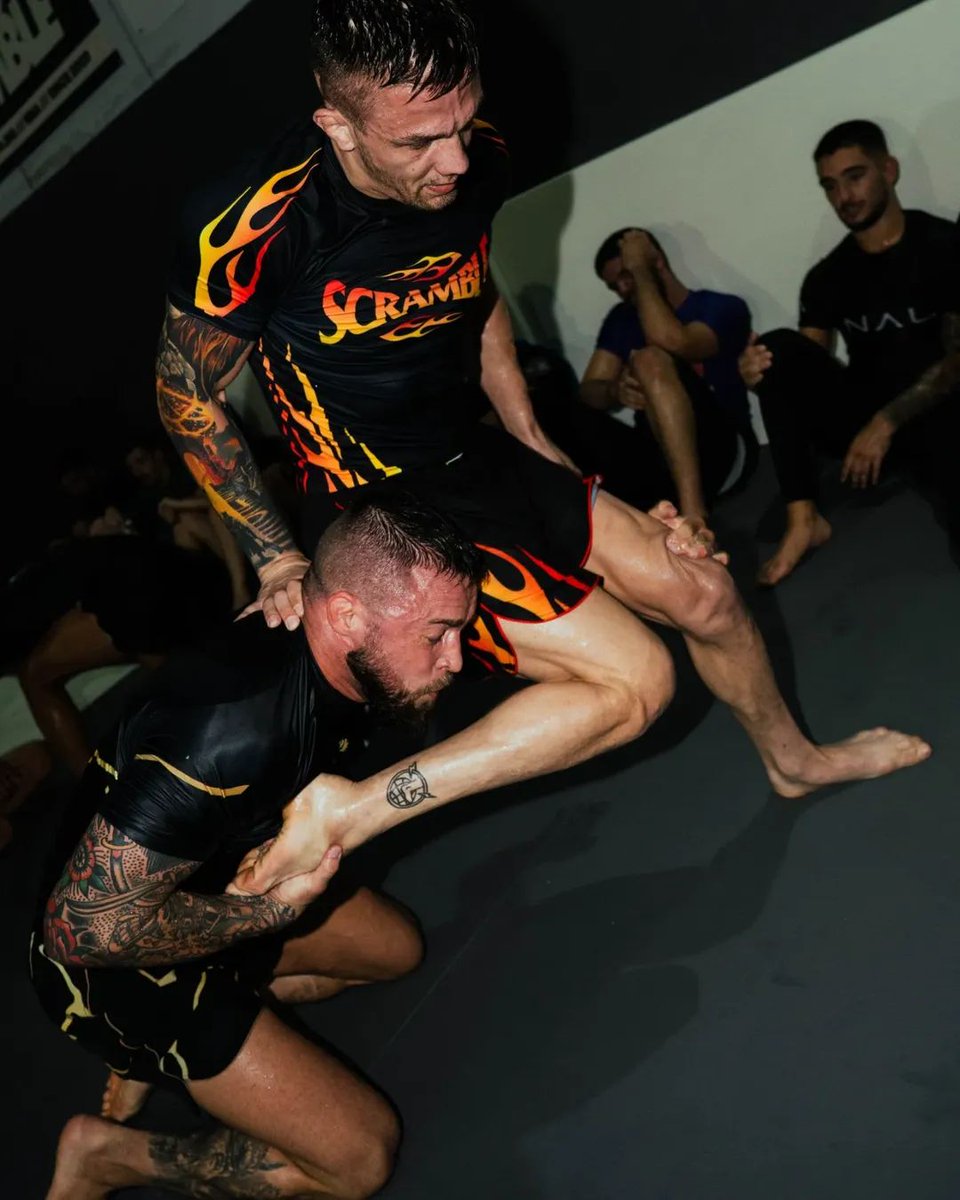 SCRAMBLEJP's tweet image. 🕸️ RESTOCK!