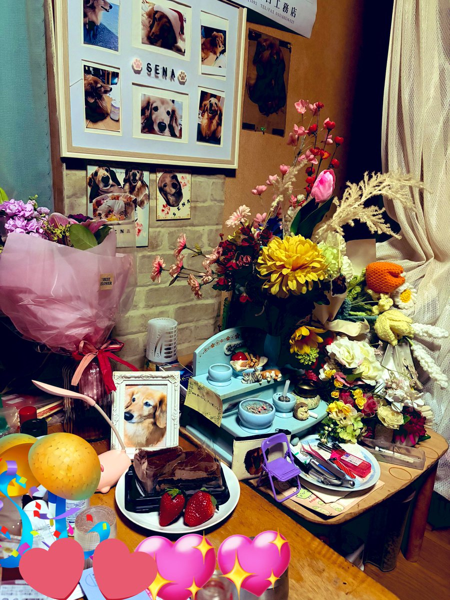 tomomitantan07's tweet photo. 今日はsenaの20歳のお誕生日です🎉🎉

senaおめでとう✨✨👏

ホントは今この時一緒にお祝いするはずだったのに……

でも心はいつも一緒
だからね·͜·ᰔᩚ·͜·ᰔᩚ·͜·ᰔᩚ https://t.co/sgubpfk1C3