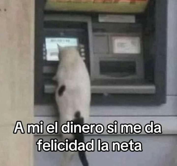 En Júpiter (@en_jupiter_) on Twitter photo 