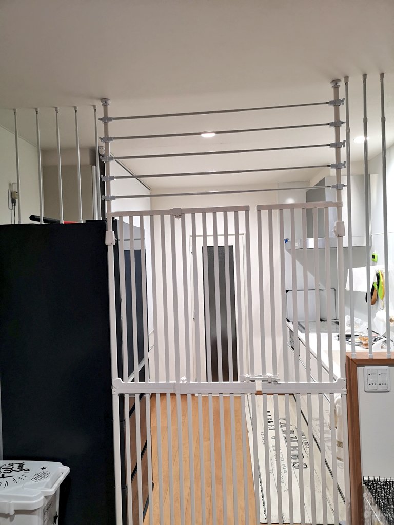 【完結編】
追加した(`･ω･´)ゞ✨‼️

これでどうだ！
冷蔵庫の上は間隔がちょっと広い💦もう一本要るかな💦

どうしても入りたくて無理矢理入ろうとすれば
壊しながら侵入されてしまうかもしれないけど…
うちの子はそこまでではないと信じたい(´-ω-)ｳﾑ

 #猫のいる暮らし