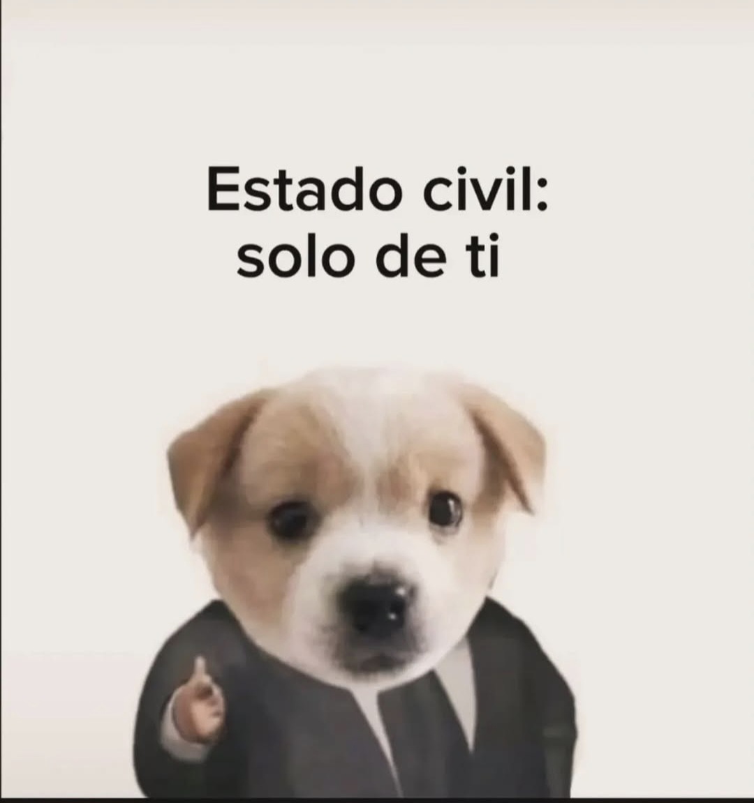 En Júpiter (@en_jupiter_) on Twitter photo 