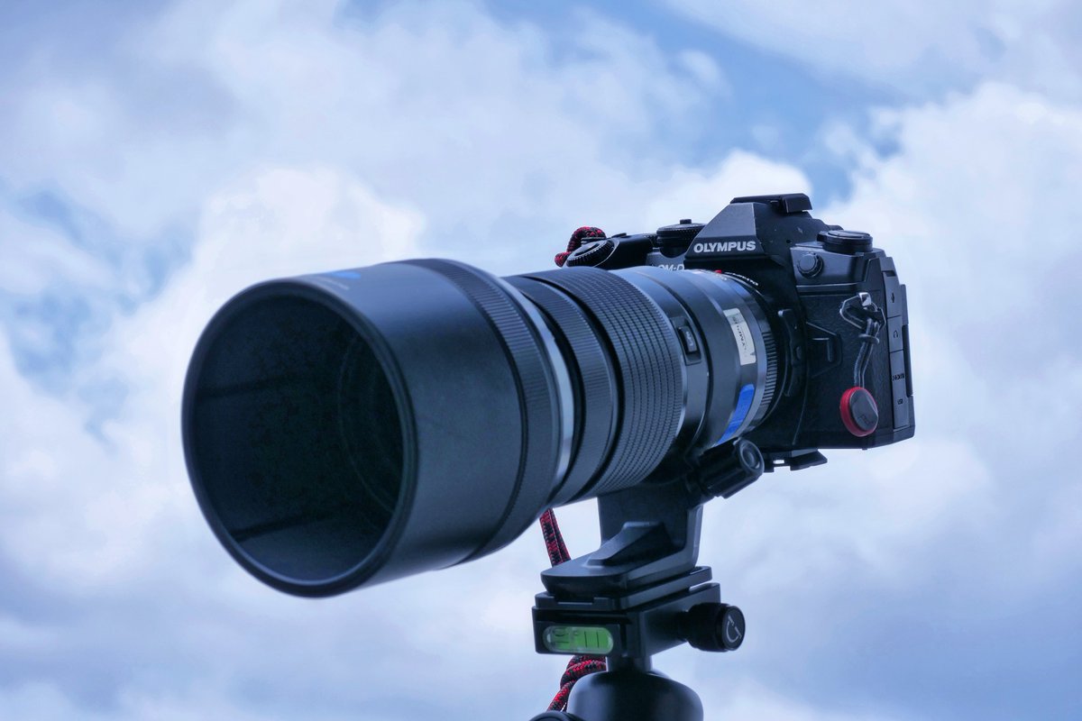 と〜た (@xdog_tohta) / Posts / X