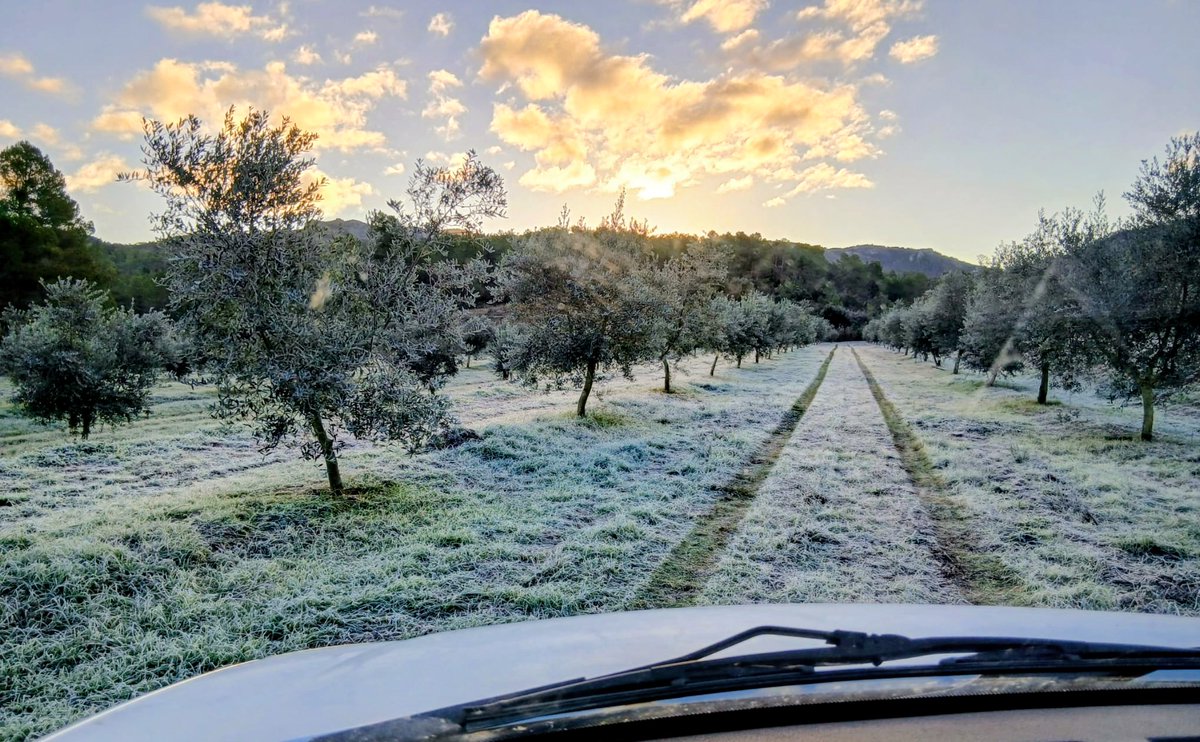 Lo Tractor Rosa tweet media