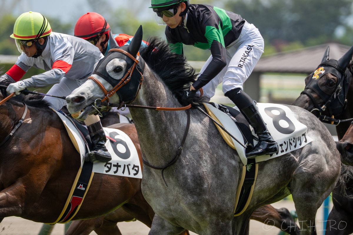 レジェンドシップ #ゴールドシップ産駒 #有馬記念ファン投票 有馬記念