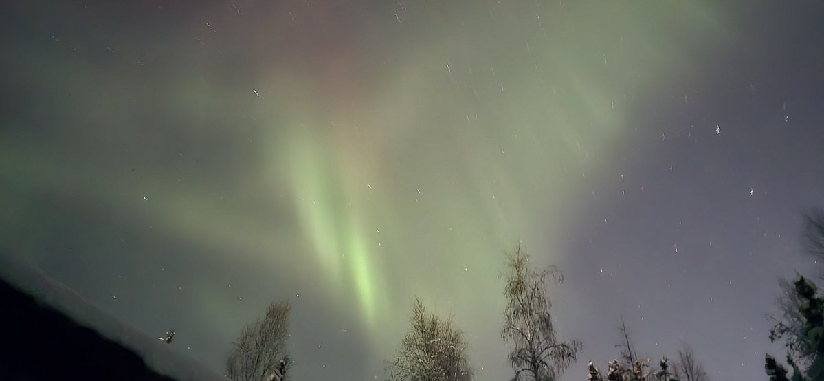 NationalAssemb1's tweet image. @AuroraNotify North Pole Alaska at 10:55pm