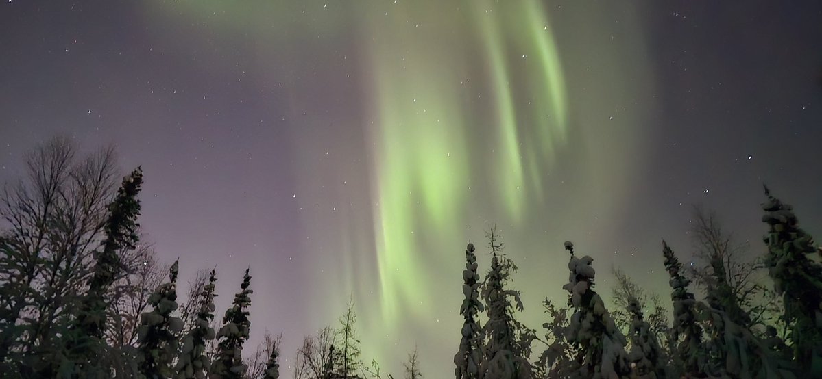 NationalAssemb1's tweet image. @AuroraNotify North Pole Alaska at 10:55pm