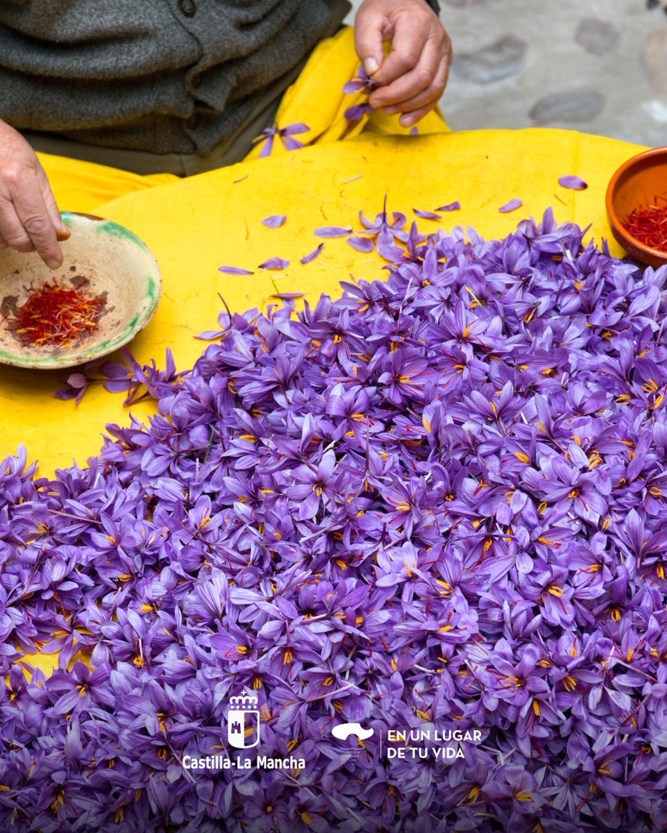 VinaAlbaliFS's tweet image. @turismoclm 

#EnUnLugarDeTuVida #CastillaLaMancha #TurismoCLM