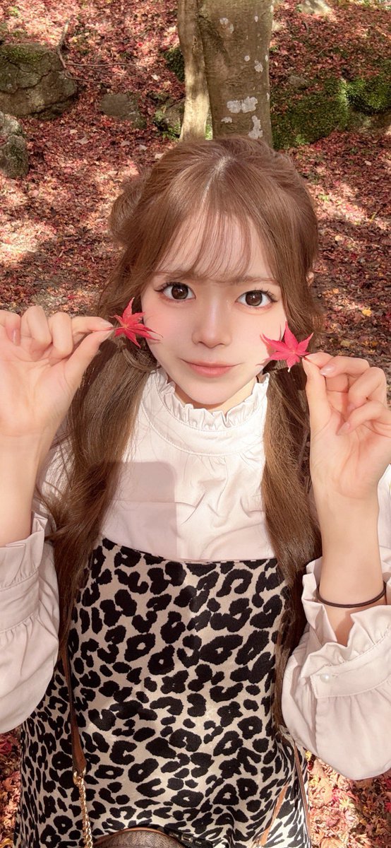 キララ📛 (@kirarangyo) / Posts / X