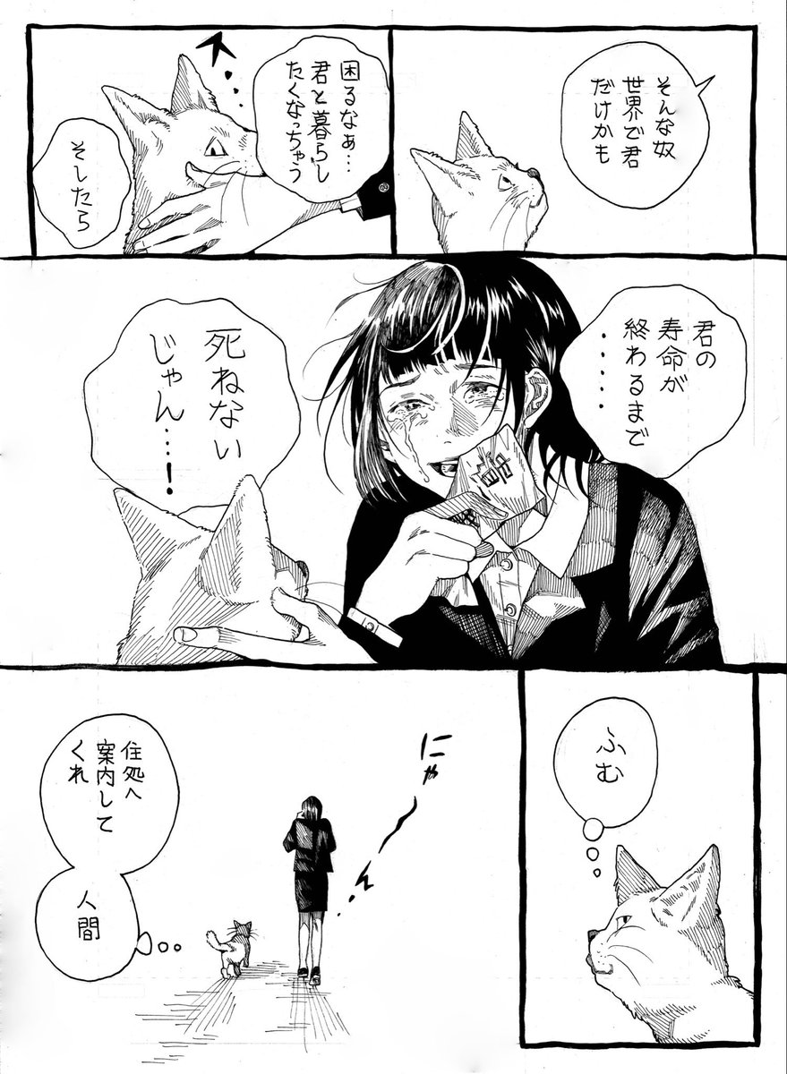 (2/2) 