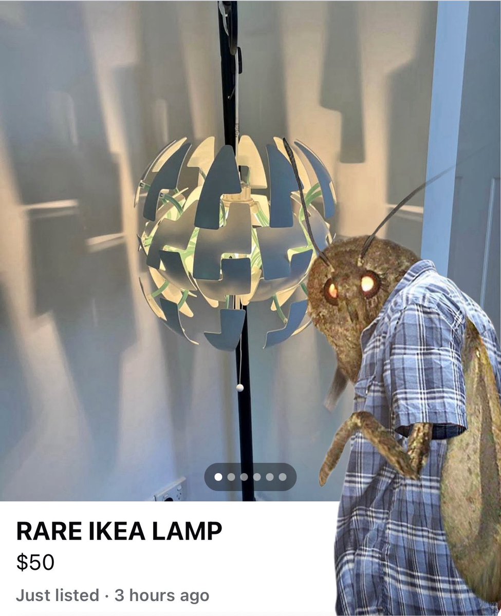 fullydunted's tweet image. 