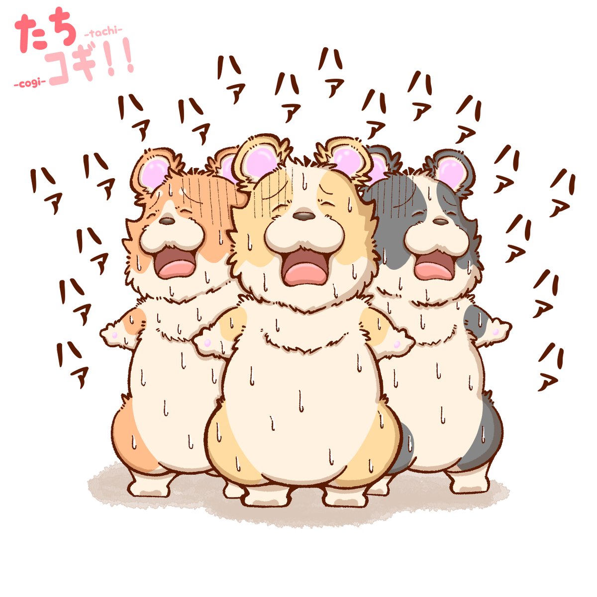 良きハアハアが描けたワンから次のラインスタンプに混入しておくワンね🐶😊
#たちコギ #コーギー #イラスト