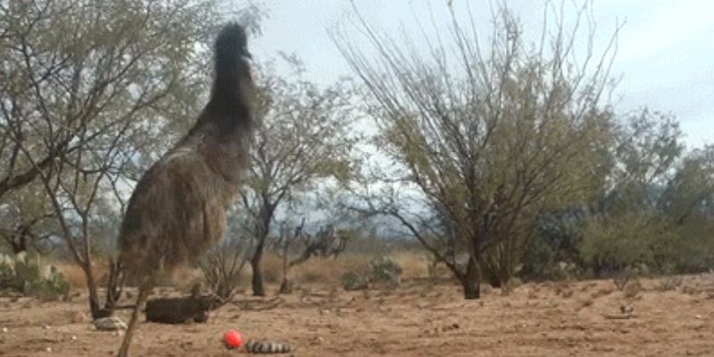 thecodinglove's tweet image. When a client calls us first thing in the morning to report a bug thecodinglove.com/when-a-client-…