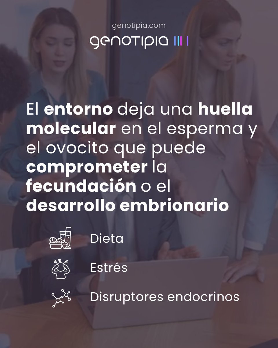 Genotipia tweet media