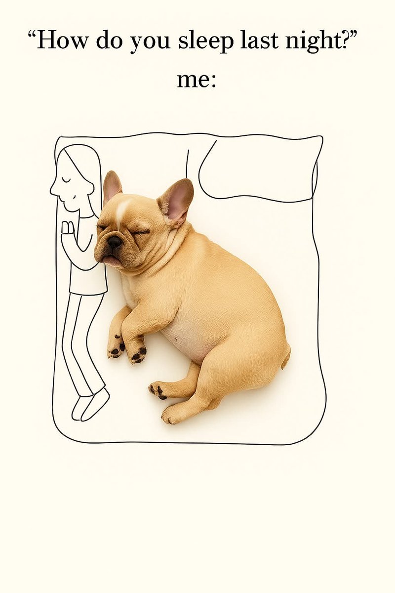 frenchieclub247's tweet image. Why sleep comfortably when you have a Frenchie? 🤣💤 
#frenchie #frenchielife