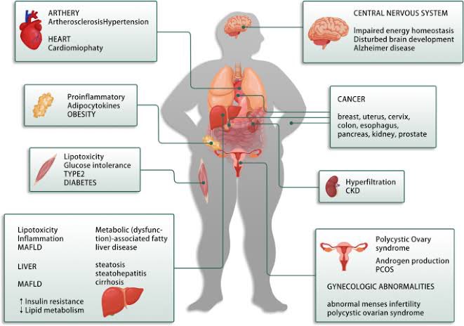mindmusclepro's tweet image. Assess Your Metabolic Health

🩸Blood Markers 

✅ HbA1C

HbA1C or glycosylated Hemoglobin can be thought of as the 3-month average of your blood sugar. This number gives you an idea of your blood sugar levels over the last few months.

Target: 

HbA1C &amp;lt; 5.7%

✅ Fasting Insulin…