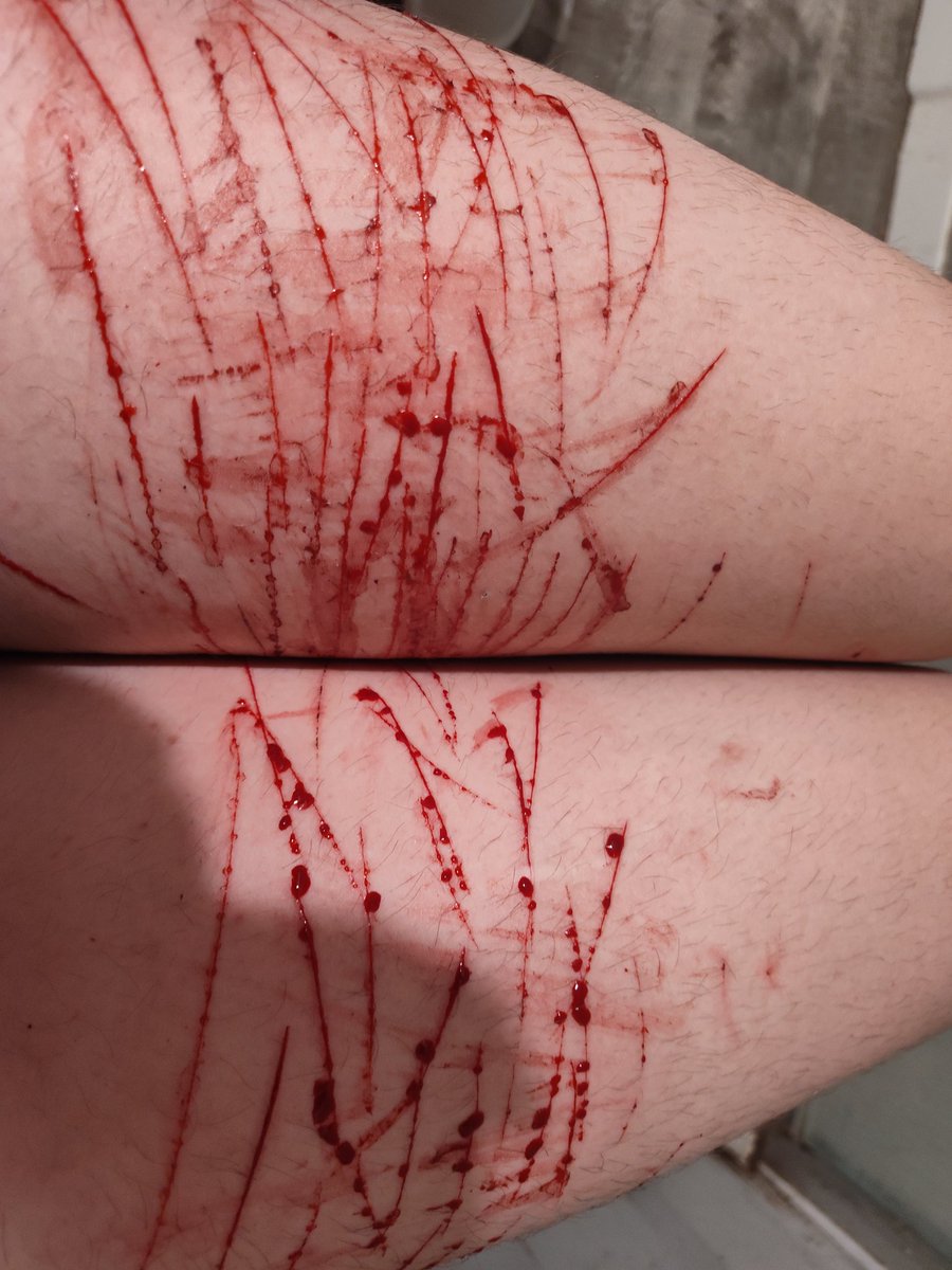 Yamazakura ✧ shtwt ⁠✧ tweet media